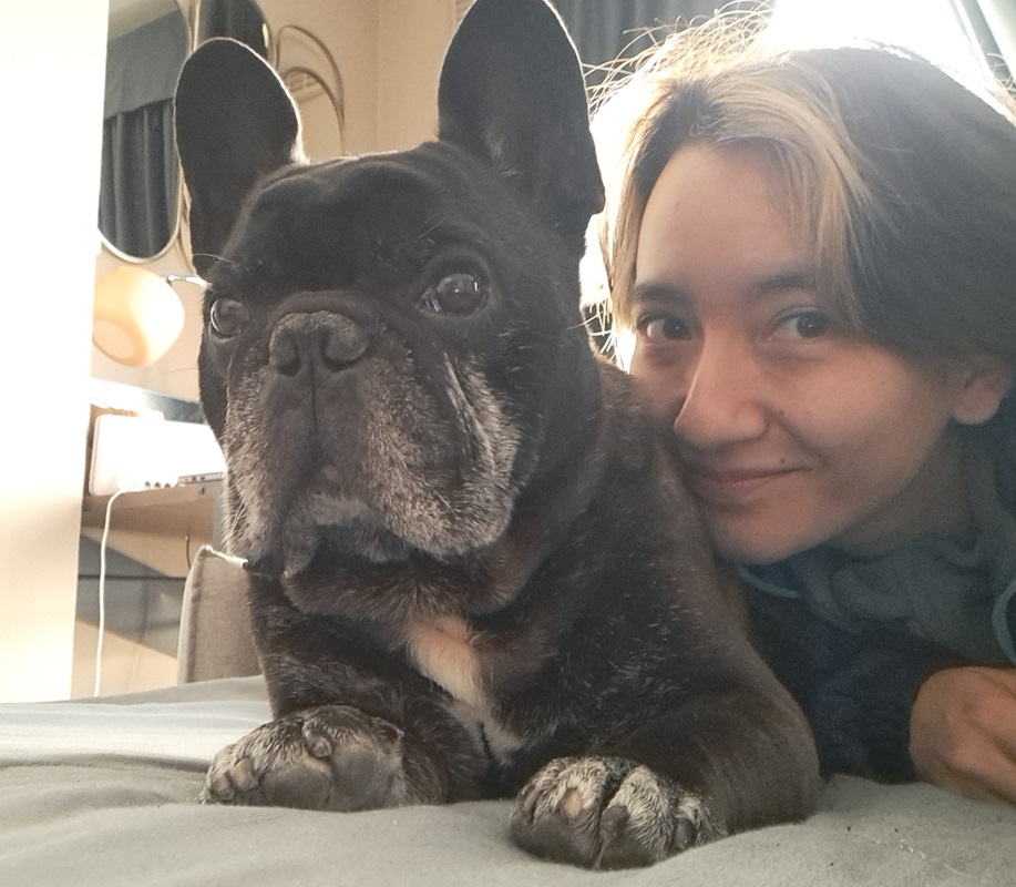 doggo all smiles